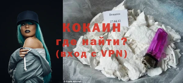 гашик Белокуриха