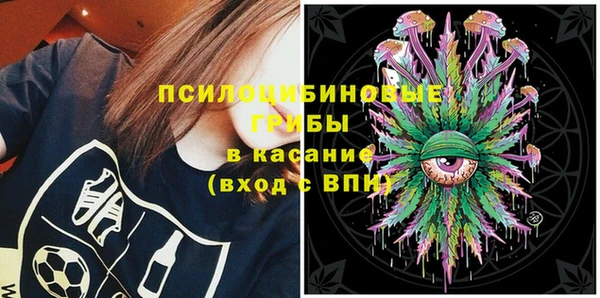 сатива Белоозёрский