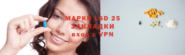 гашик Белокуриха
