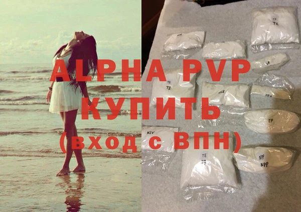 сатива Белоозёрский