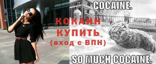 гашик Белокуриха