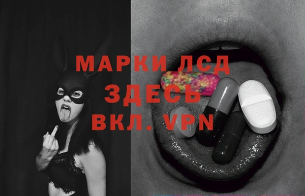 сатива Белоозёрский